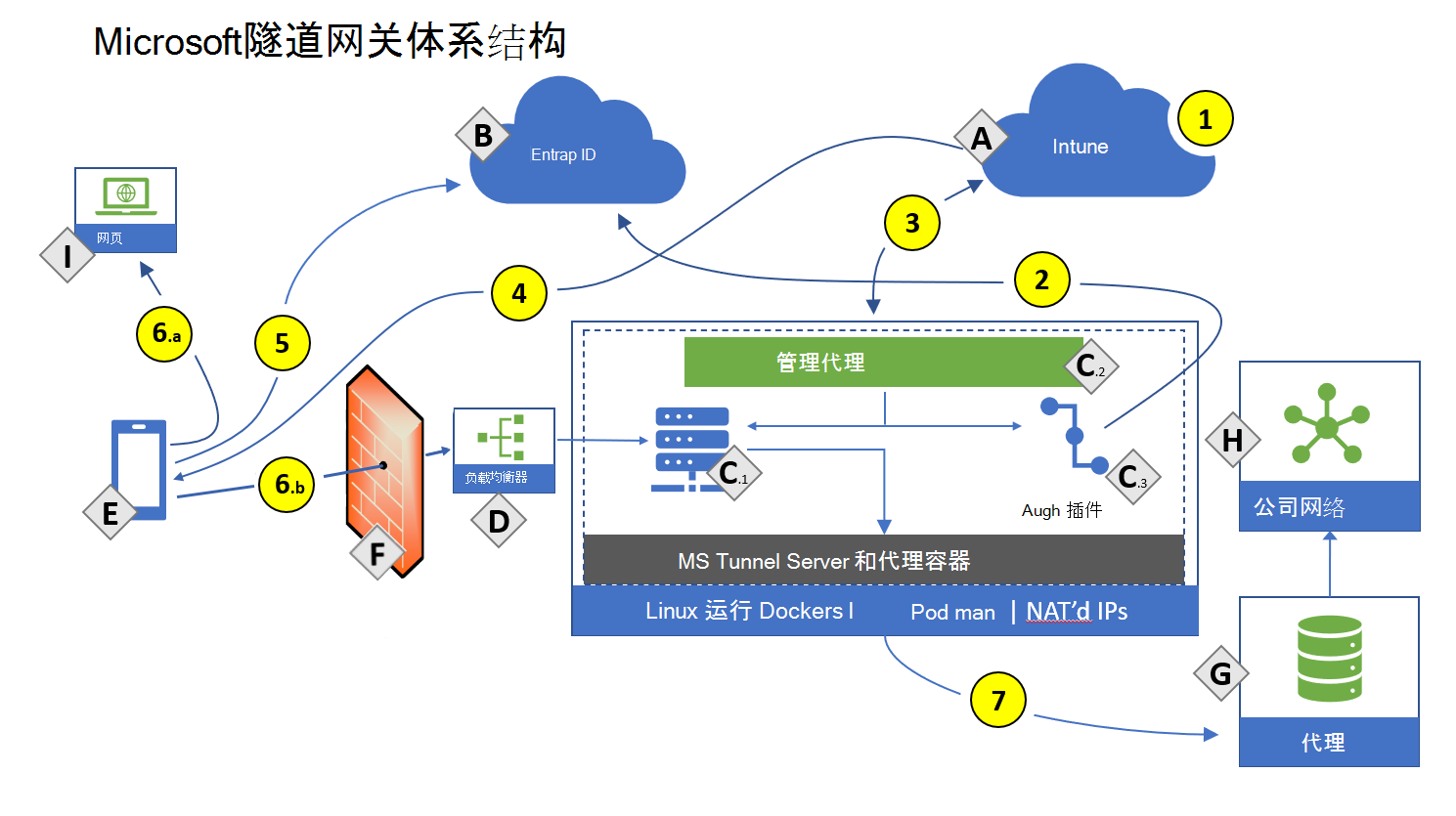 Microsoft Tunnel 网关体系结构图