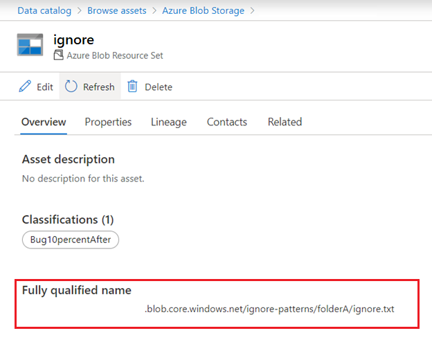 显示资产的“概述”选项卡上的完全限定名称的屏幕截图。