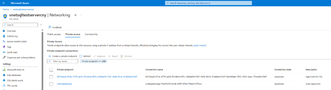 SQL Server 专用访问选项卡的网络页面的屏幕截图，其中显示了请求已批准。