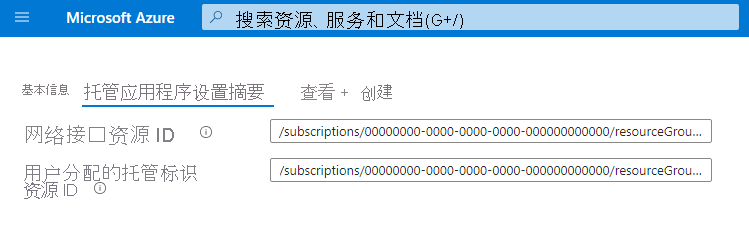 包含两个输入的示例 createUiDefinition.json 的屏幕截图：一个网络接口资源 ID 和一个用户分配的托管标识资源 ID。