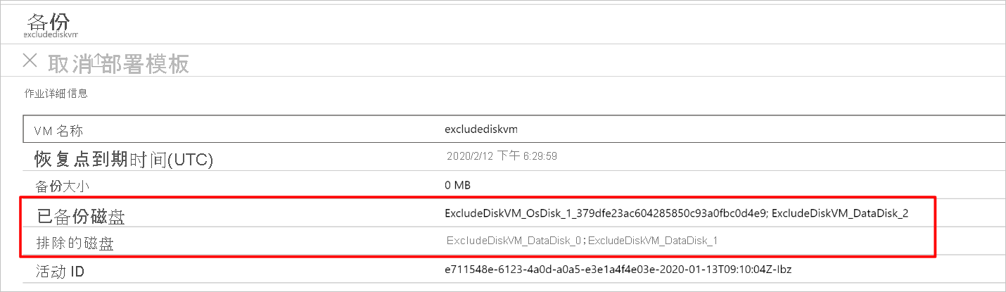 View included and excluded disks from job details pane