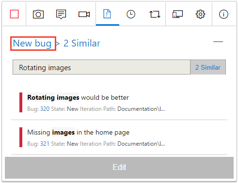 显示返回到 bug 详细信息窗体的屏幕截图。