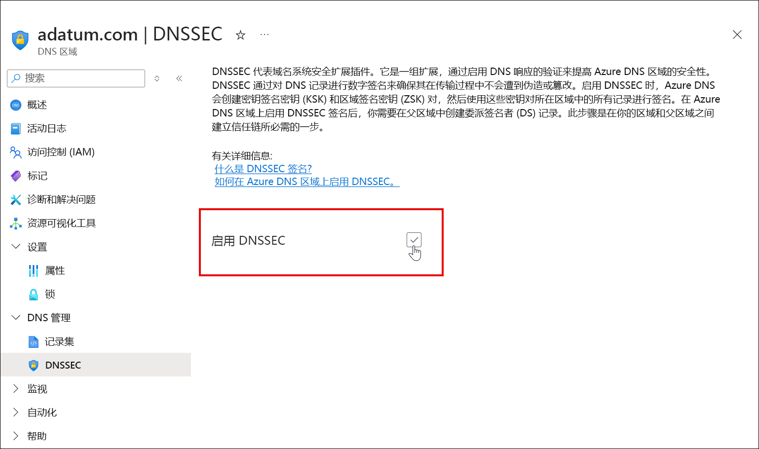 选中 DNSSEC 复选框的屏幕截图。