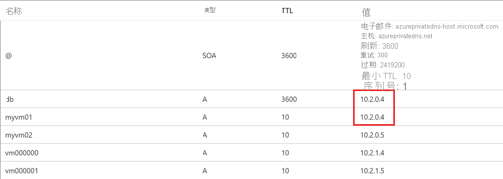 自动注册的 DNS 记录的屏幕截图。