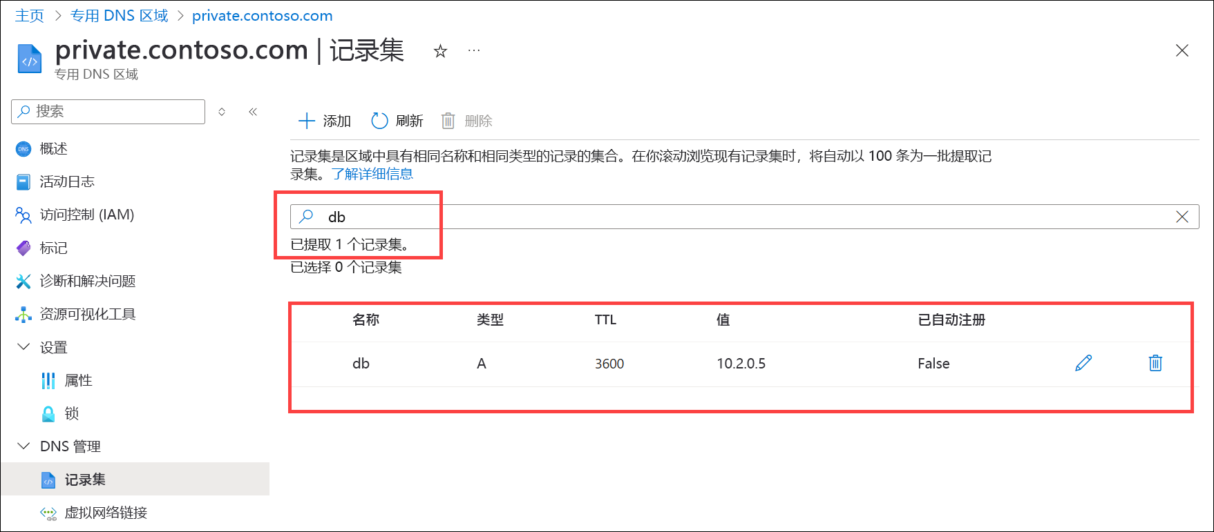 搜索 DNS 记录的屏幕截图。