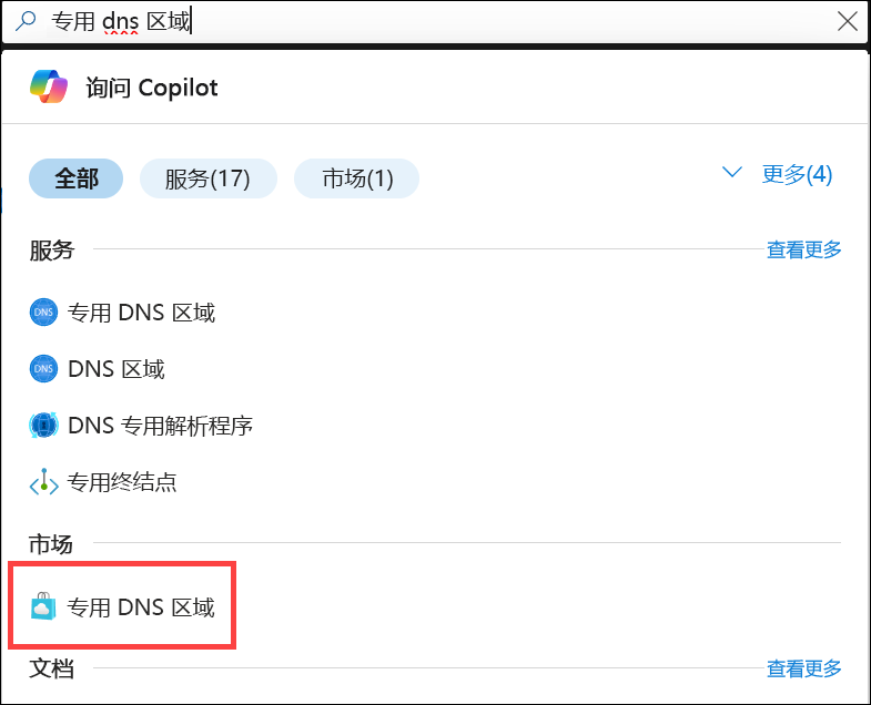 专用 DNS 区域搜索的屏幕截图。