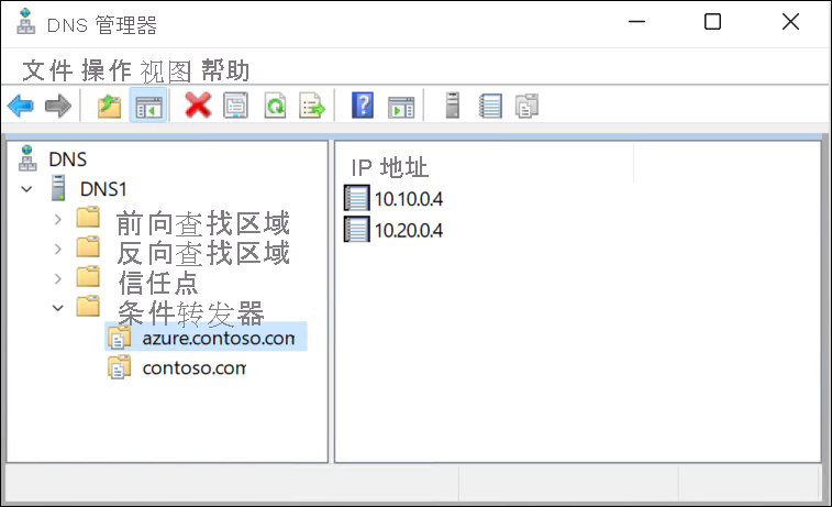 查看 DNS 转发器