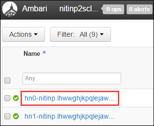 Find the head node in Apache Ambari.