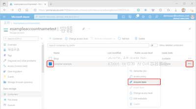 Screenshot showing how to access container lease settings in the Azure portal.