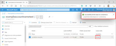 Screenshot showing a container's broken lease within the Azure portal.