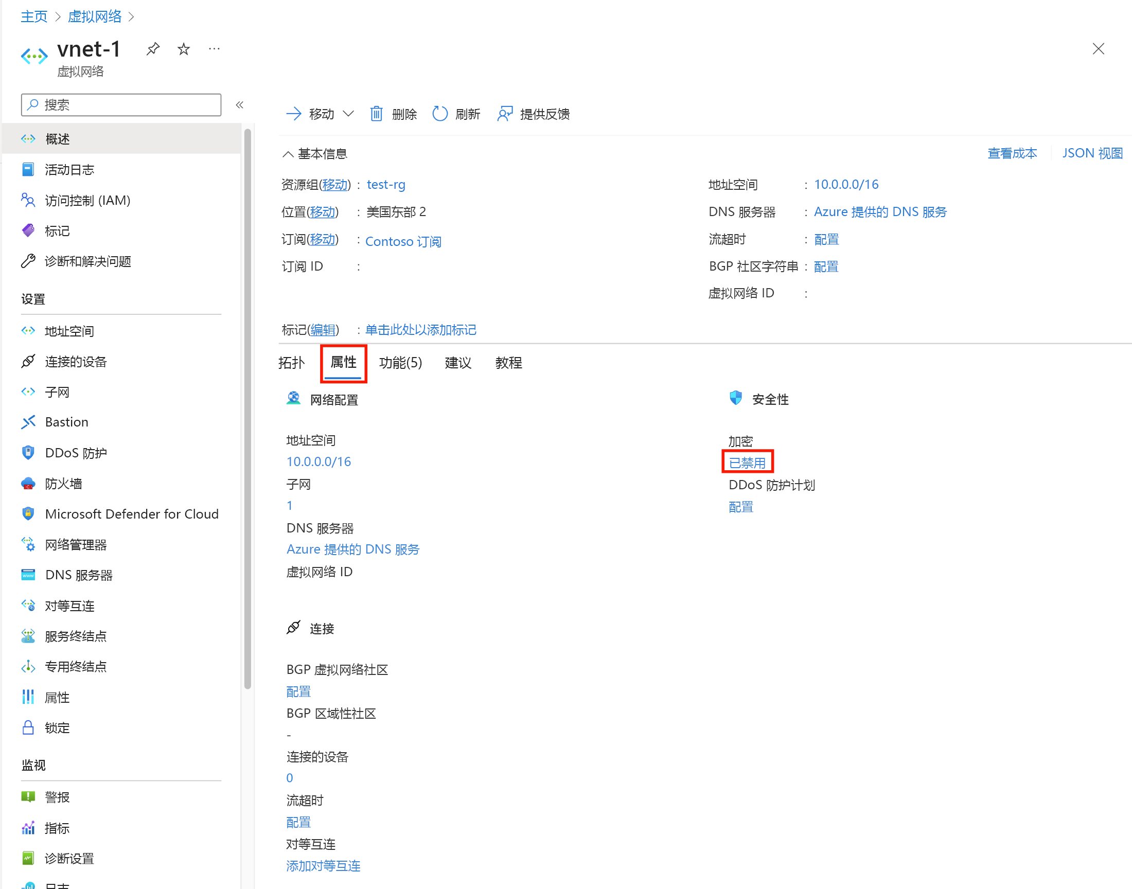 显示虚拟网络属性的屏幕截图。