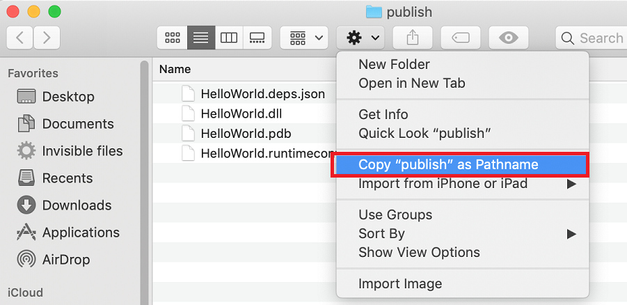 Copy path to publish folder