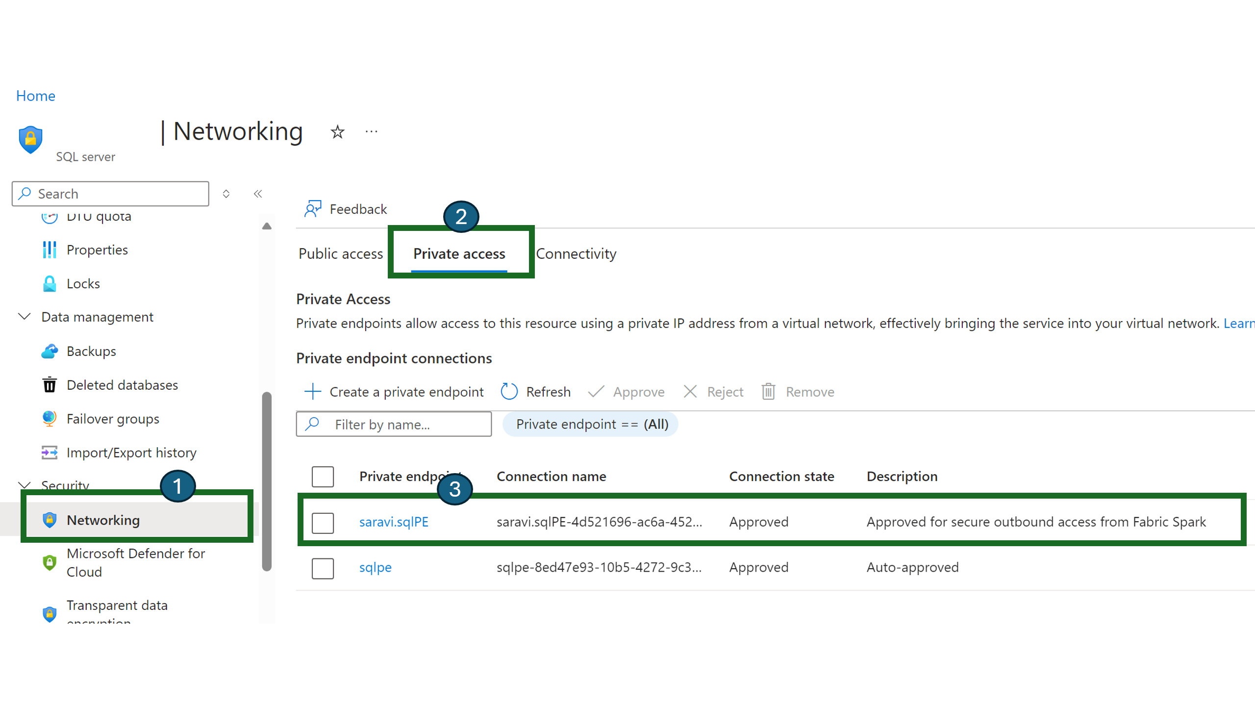 显示 Azure 门户中资源“网络”页上的“专用访问”选项卡的屏幕截图。