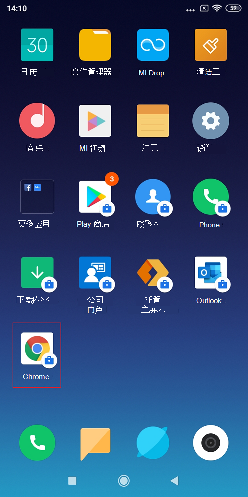 包含项目组合图标的托管 Google Chrome