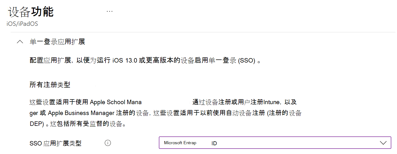 显示 Intune 中适用于 iOS/iPadOS 的 SSO 应用扩展类型和Microsoft Entra ID的屏幕截图。