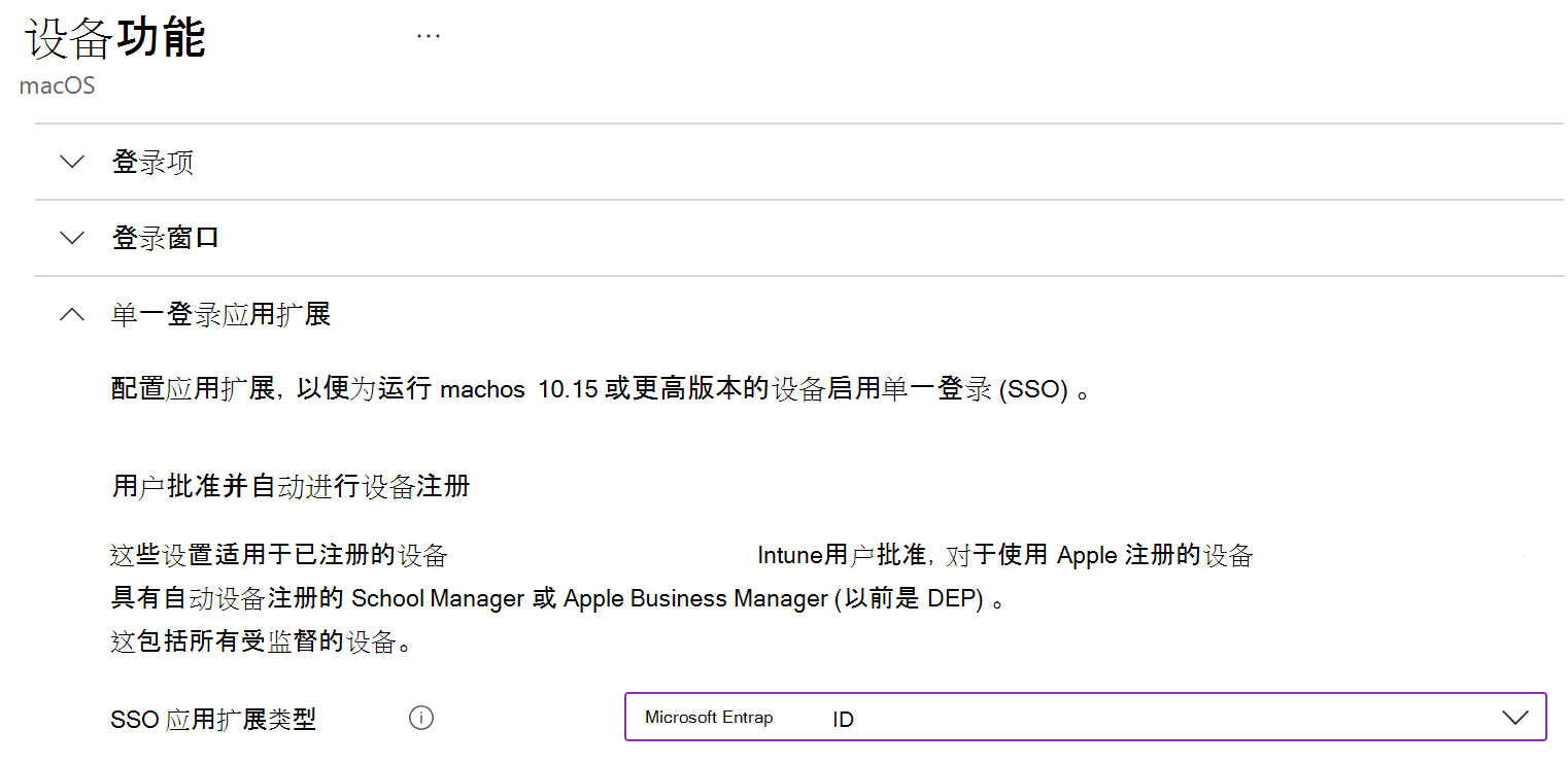 显示 Intune 中 macOS 的 SSO 应用扩展类型和Microsoft Entra ID的屏幕截图