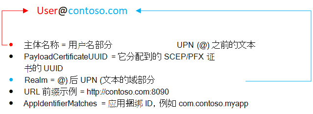 Microsoft Intune 中的 iOS/iPadOS 用户名 SSO 属性