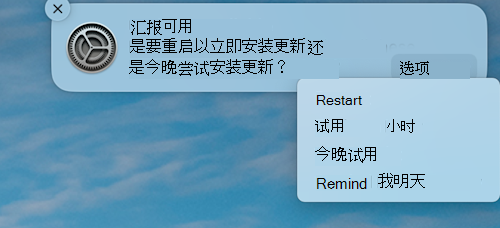 在 macOS Apple 设备上提供更新的示例通知。