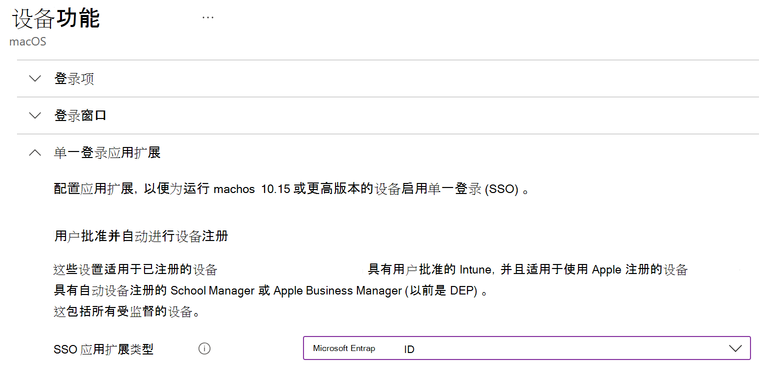 显示 Intune 中适用于 macOS 的 SSO 应用扩展类型和Microsoft Entra ID 的屏幕截图