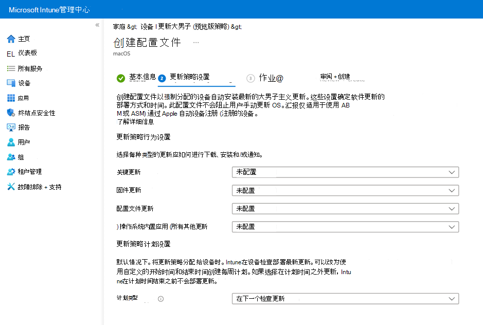 “更新策略设置”页的屏幕截图。