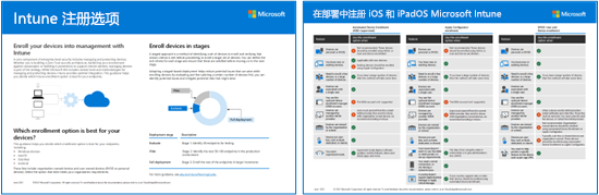 各平台的 Intune 注册选项的可视化表示形式