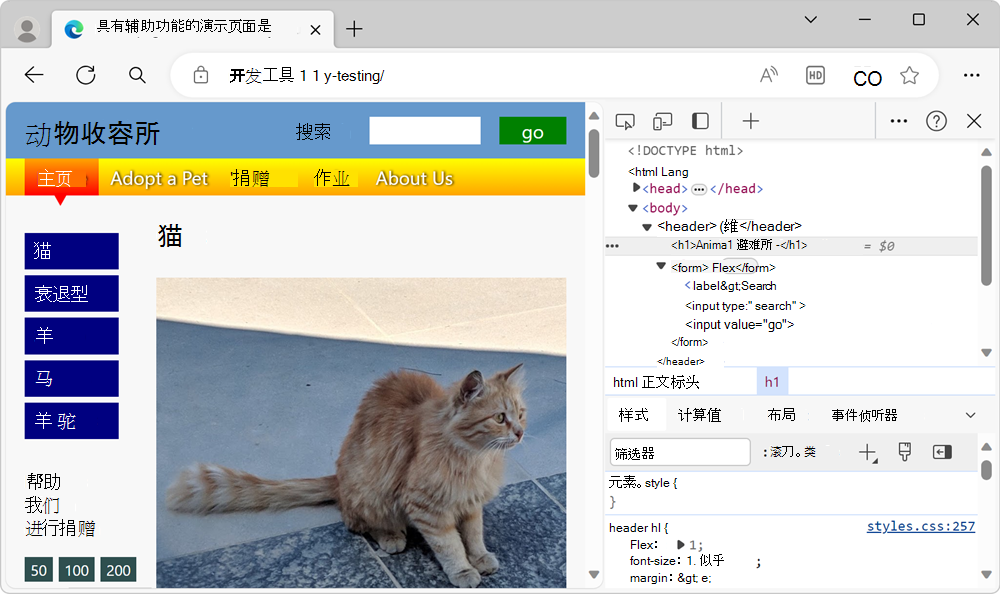 旁边有 DevTools 的演示页