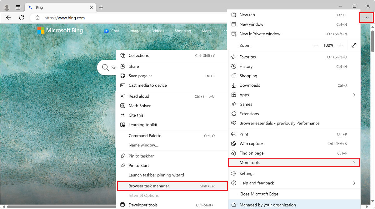 打开 Microsoft Edge 浏览器任务管理器