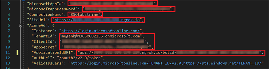 appsettings.json 文件的屏幕截图，其中输入的值以红色突出显示。