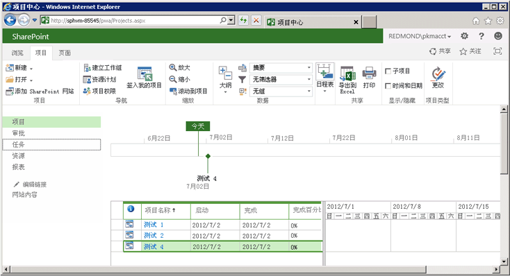 在 Project Web App中检查已发布的项目