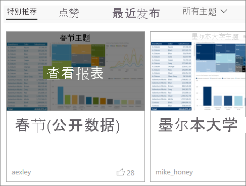 主题库报表选项的屏幕截图。