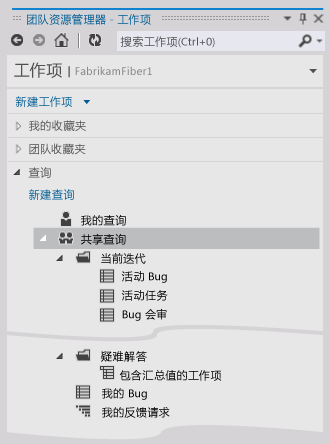 团队资源管理器中的 MSF Agile 团队查询