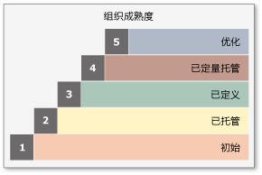 CMMI 分阶段表示形式