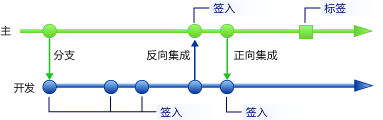 主分支