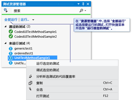 运行自动测试的单元测试资源管理器