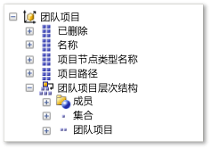 团队项目维度