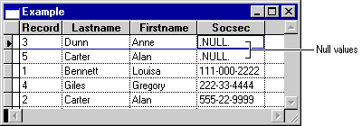 FoxPro Example Table Null