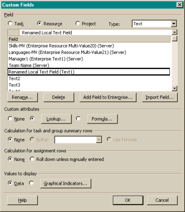 Project with local and enterprise custom fields