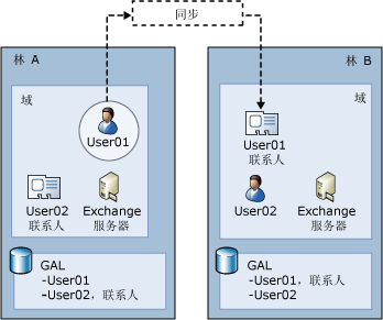 具有多个林的复杂 Exchange 组织