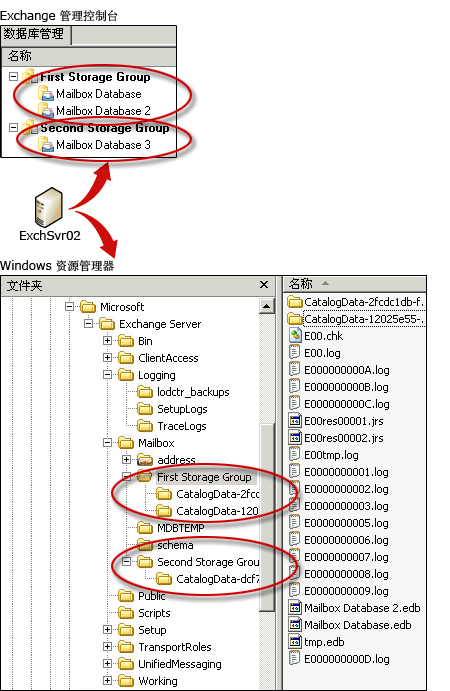 Exchange 2007 存储组和文件