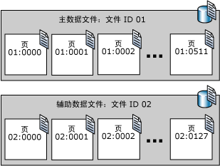 两个数据文件中的顺序页码