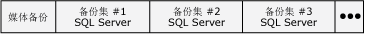 包含 SQL Server 备份集的备份媒体