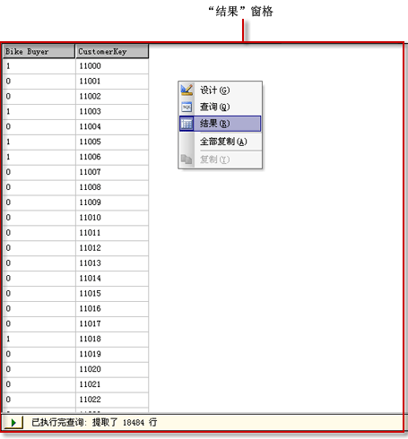 Analysis Services DMX 查询设计器，结果视图