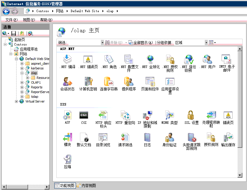 IIS 管理器主页的屏幕快照