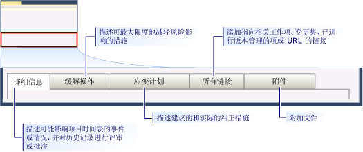 CMMI 风险工作项窗体 - 选项卡