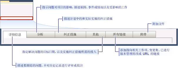 CMMI 问题工作项窗体 - 选项卡