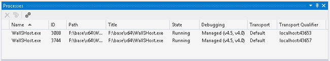 Debug Processes