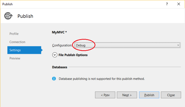 Screenshot of the Settings tab in the Publish dialog box. Configuration is set to Debug and the Publish button is selected.