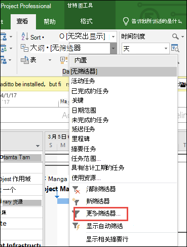 屏幕截图显示选择“更多筛选器”的位置。