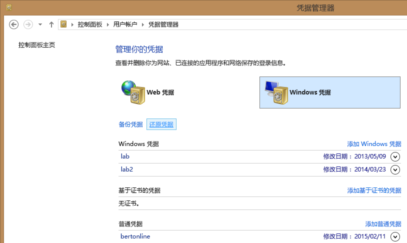 Windows 凭据管理器