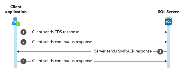 MARS SMP：ACK 数据包的关系图。